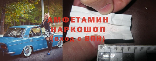шишки Богородицк