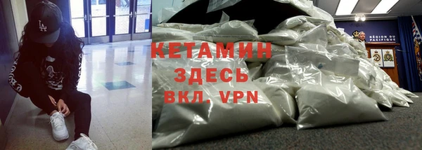 шишки Богородицк