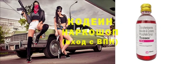 шишки Богородицк