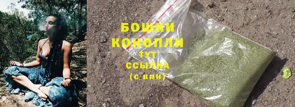 шишки Богородицк