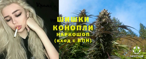 прущая мука Богородск