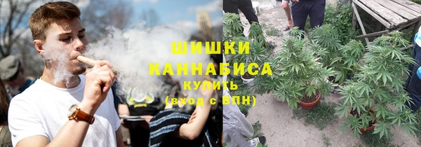шишки Богородицк
