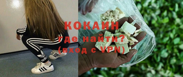 шишки Богородицк