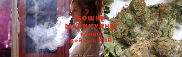 шишки Богородицк