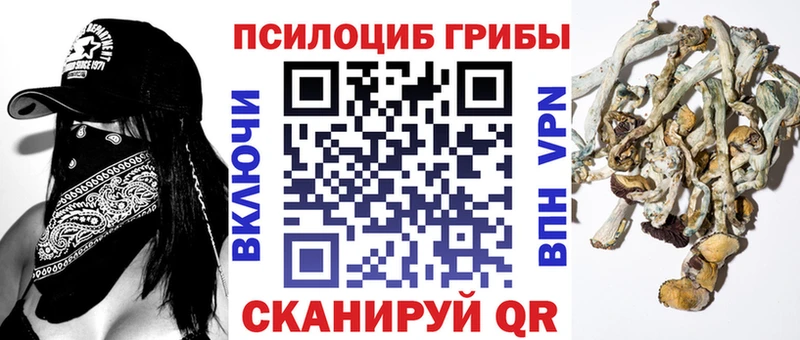 Псилоцибиновые грибы Psilocybe  цена наркотик  Качканар 